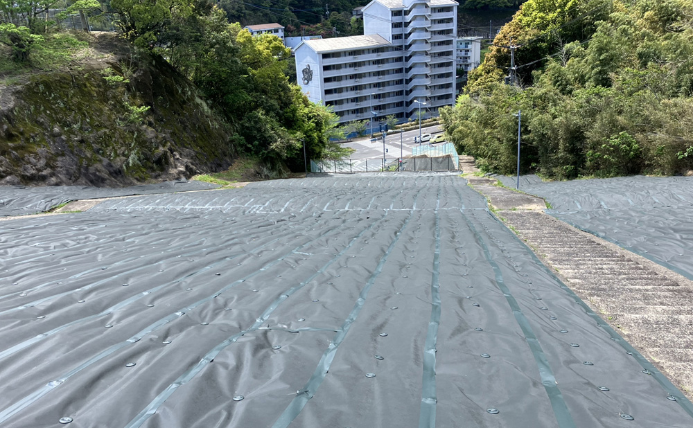 Green Arts防草シート施工例3