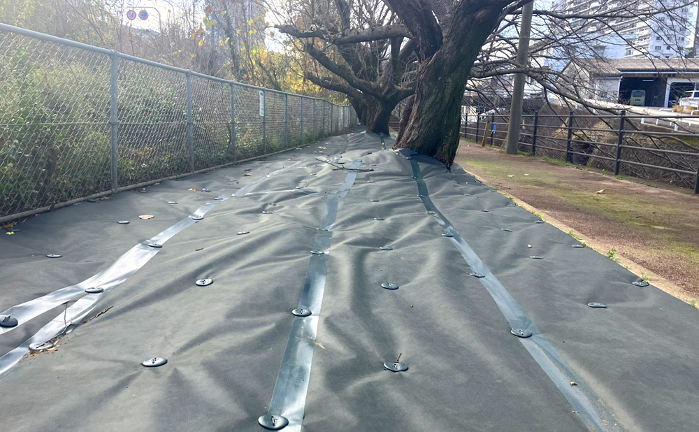 Green Arts防草シート施工例7