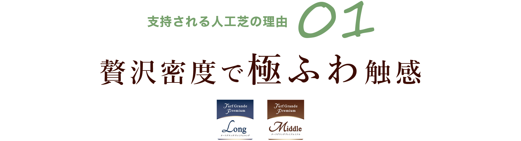 支持される人工芝の理由01 贅沢密度で極ふわ触感 Turf Grande Premium Long／Middle