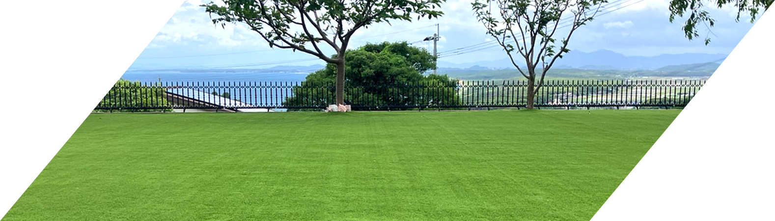 Turf Grande Premium 4色パイルによる人工芝の自然な芝色